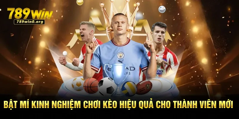 Kèo Tài Xỉu - Hướng Dẫn Cách Đọc Từ A Đến Z Tại 789win 3 Bật mí kinh nghiệm chơi kèo hiệu quả cho thành viên mới