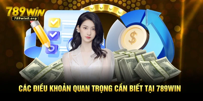 Điều Khoản và Điều Kiện Mới Nhất Tại Nền Tảng 789win 3 Các điều khoản quan trọng cần biết tại 789win