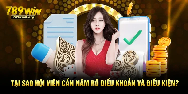 Điều Khoản và Điều Kiện Mới Nhất Tại Nền Tảng 789win 1 Tại sao hội viên cần nắm rõ điều khoản và điều kiện